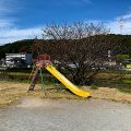 公園探訪