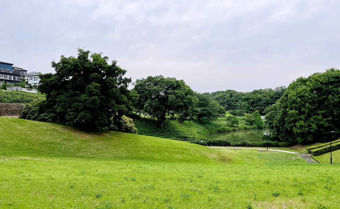 小山田桜台こぶし公園