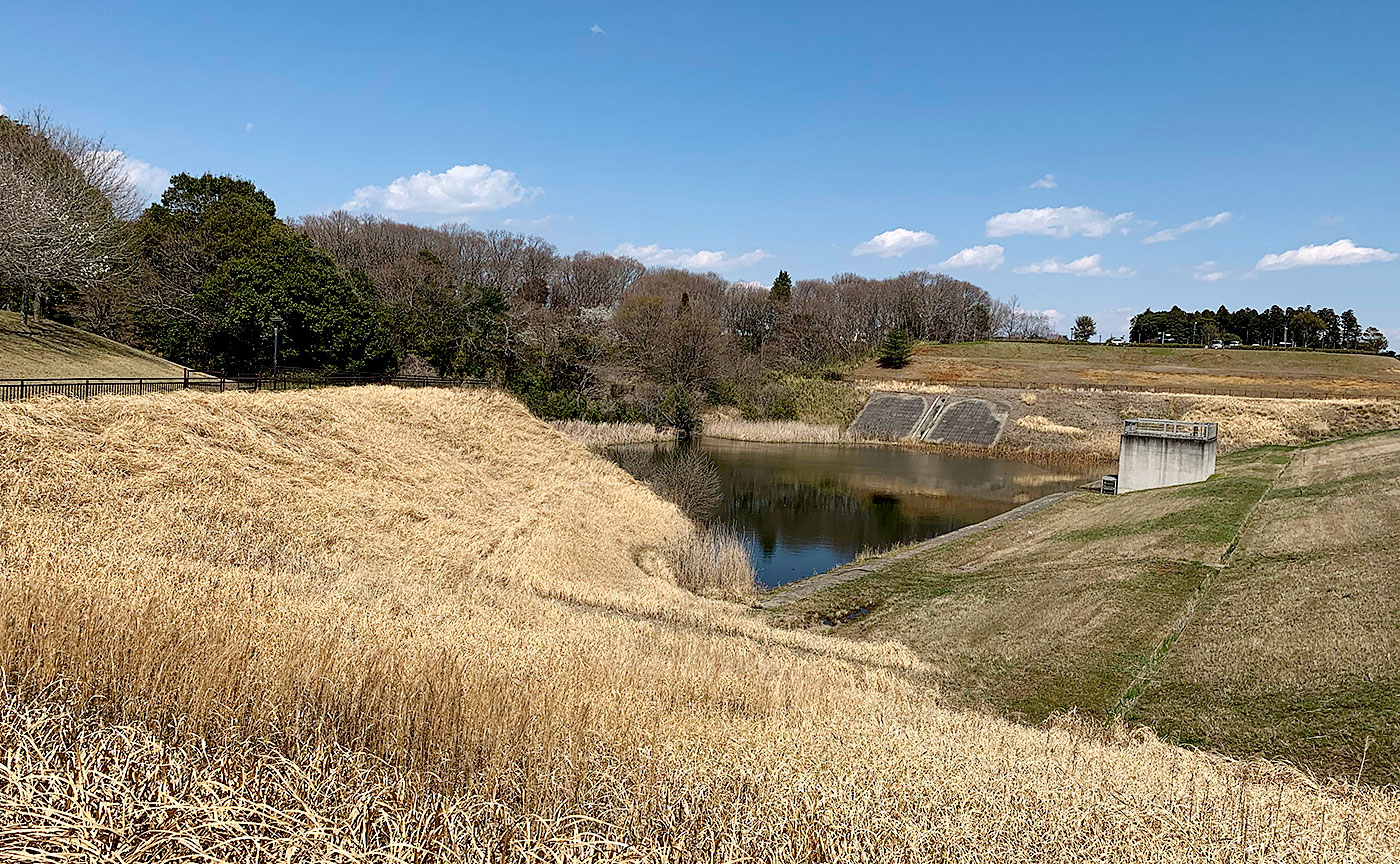 松虫姫公園