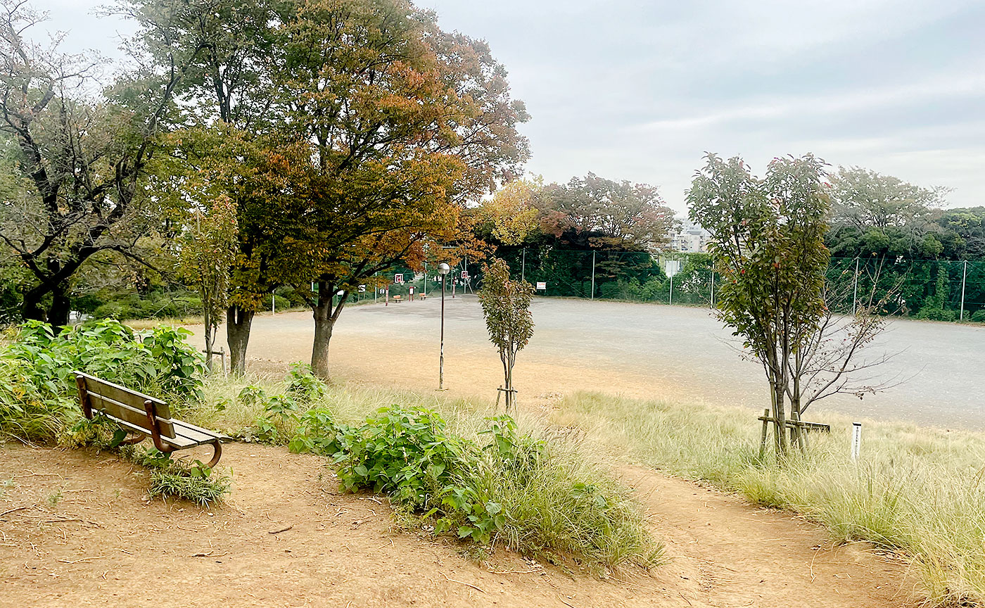 鷺沼公園