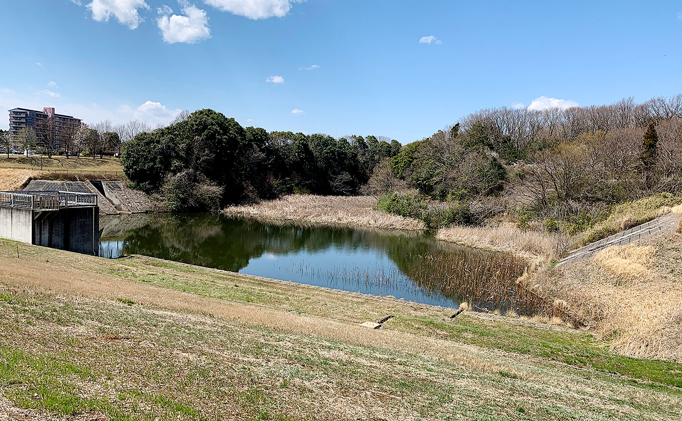 松虫姫公園