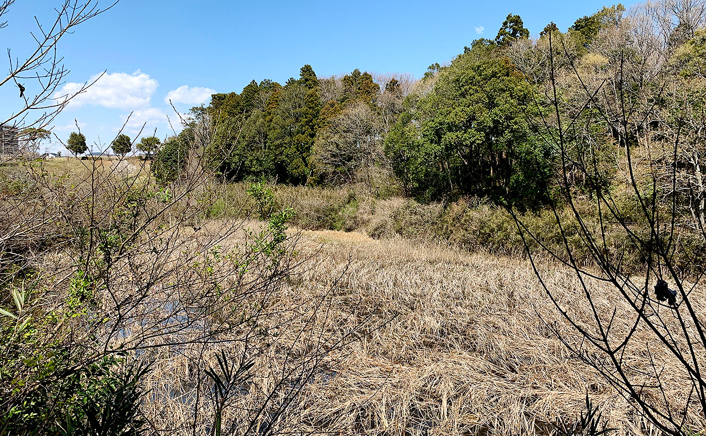 松虫姫公園