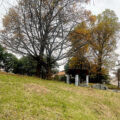 公園探訪