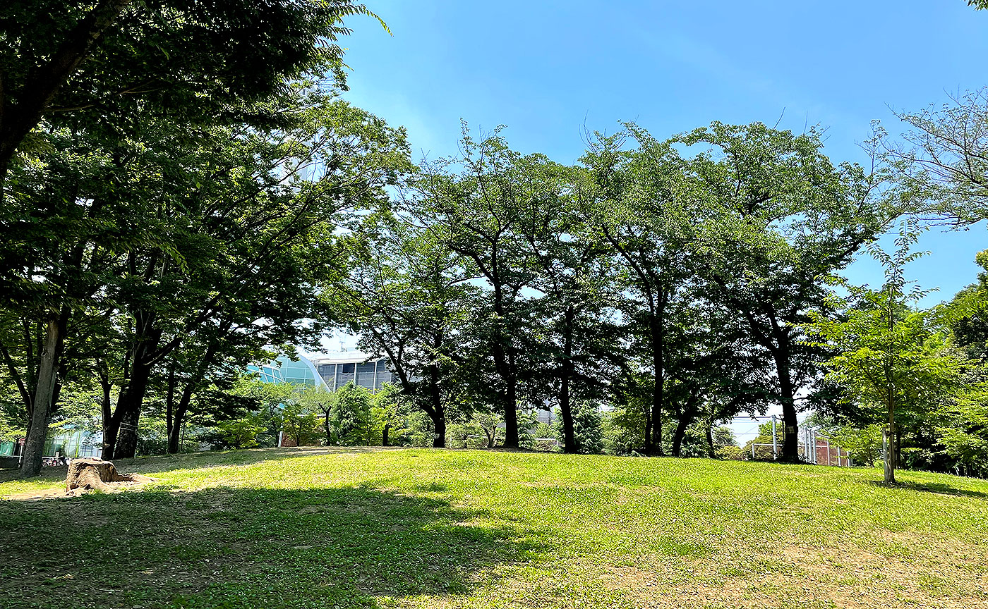 希望丘公園