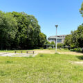 公園探訪