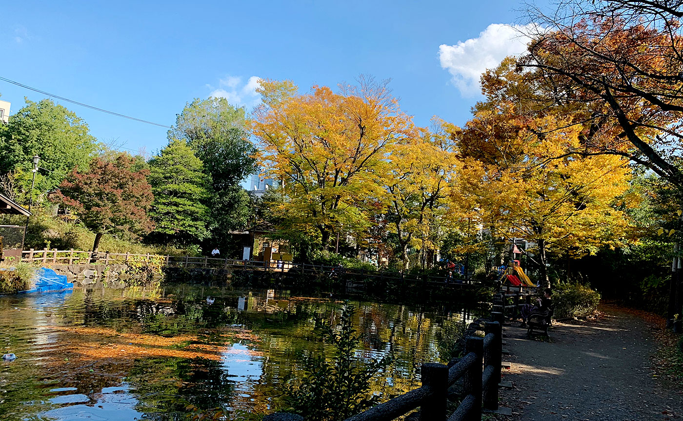 鍋島松濤公園