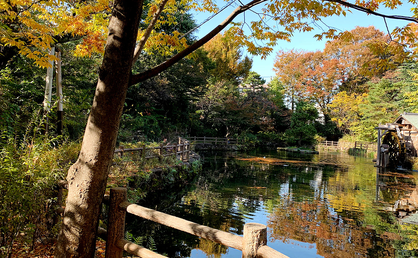 鍋島松濤公園