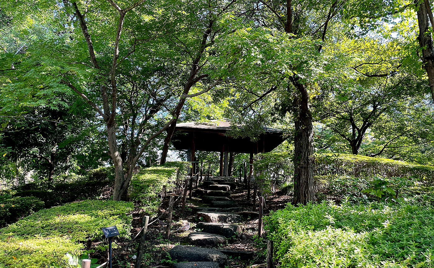 荒川公園