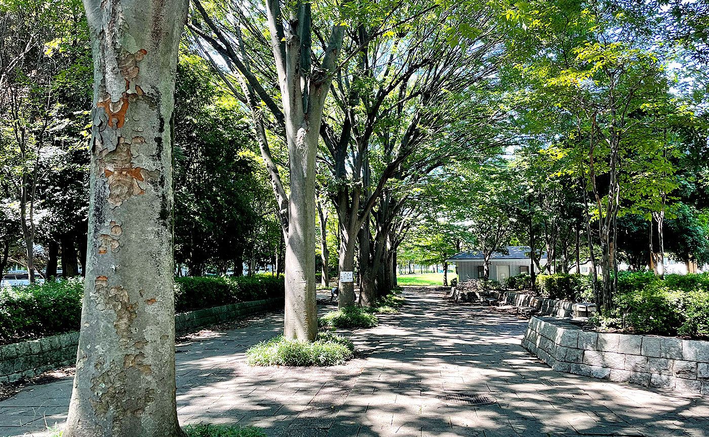 つつじが丘公園