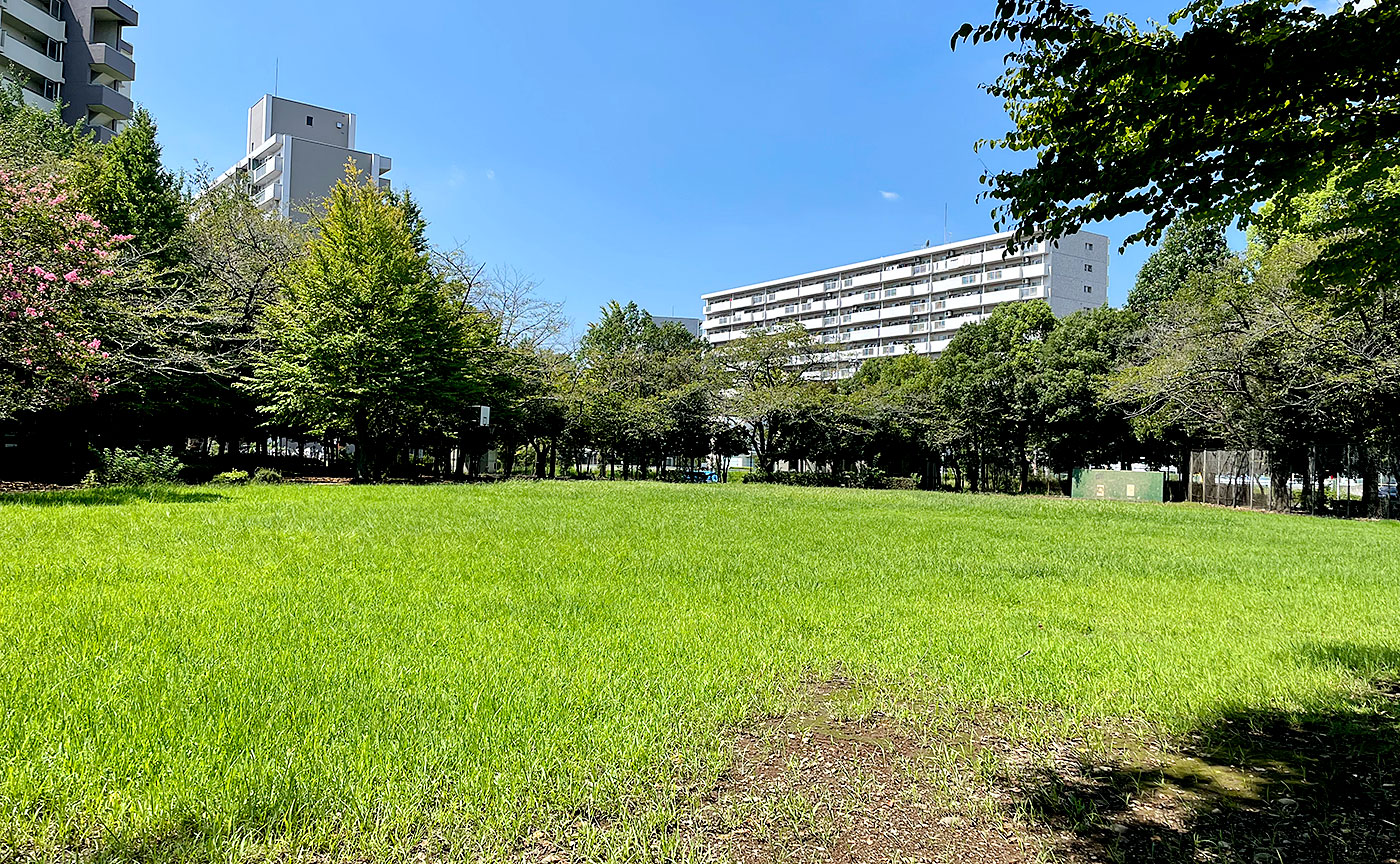 つつじが丘公園