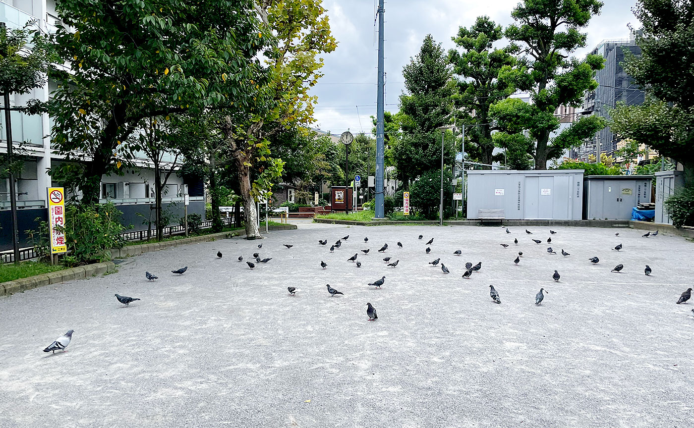 江東公園