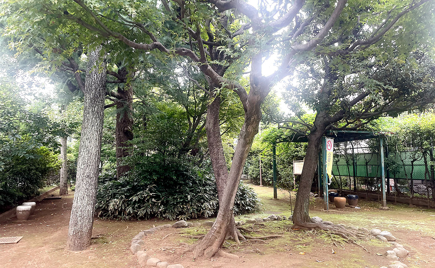 沼四緑の公園