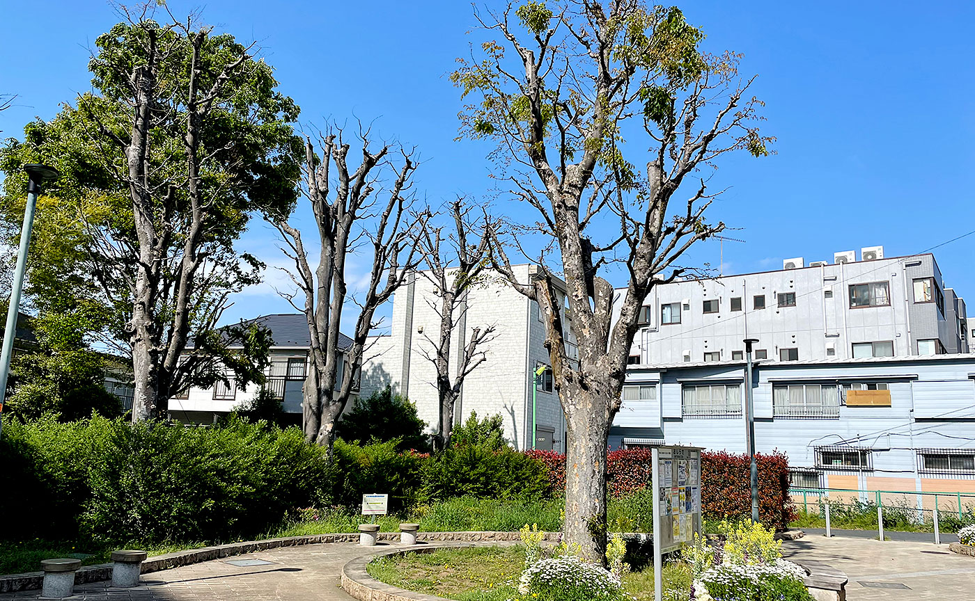 南烏山けやき公園