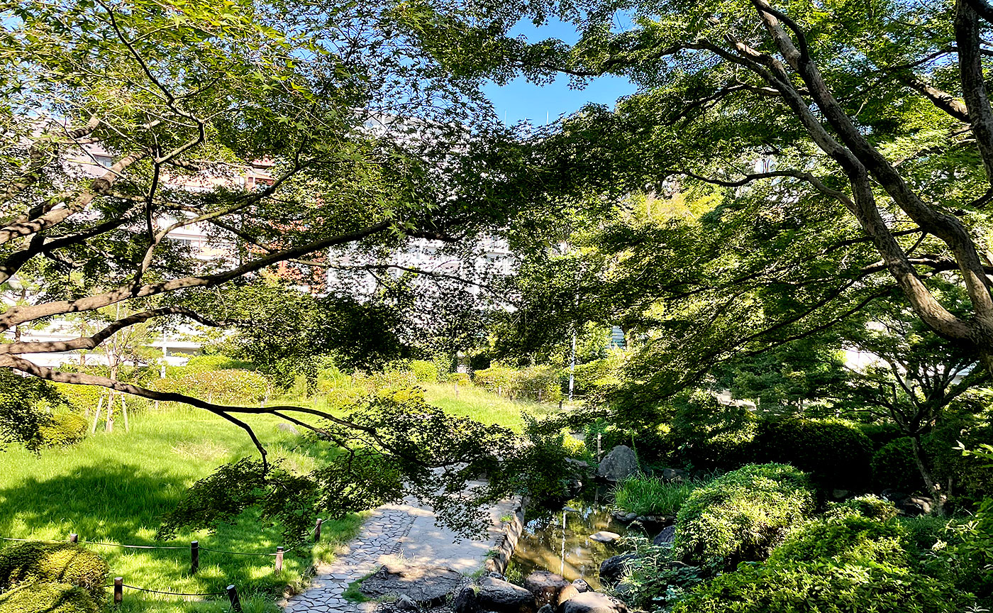 関口台公園