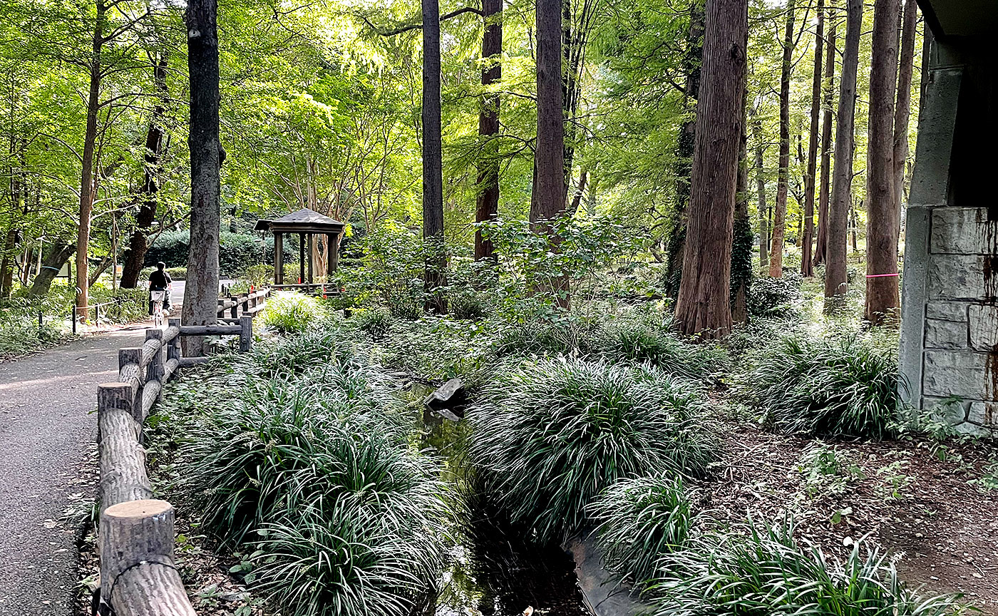 林試の森公園