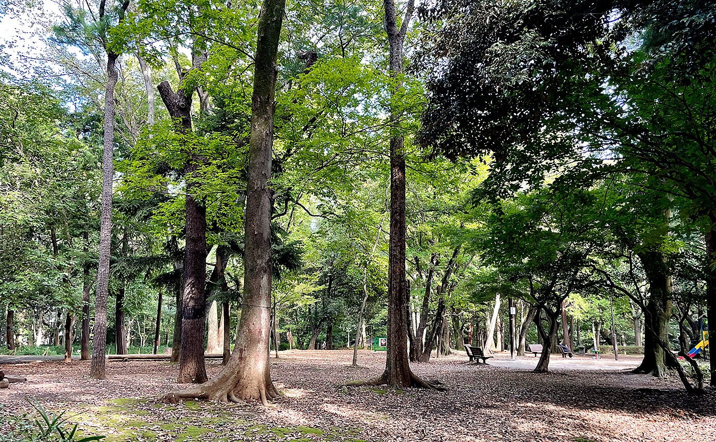 林試の森公園