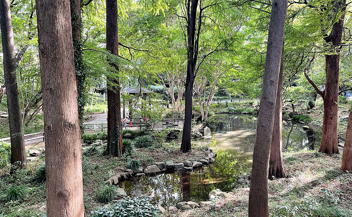 林試の森公園