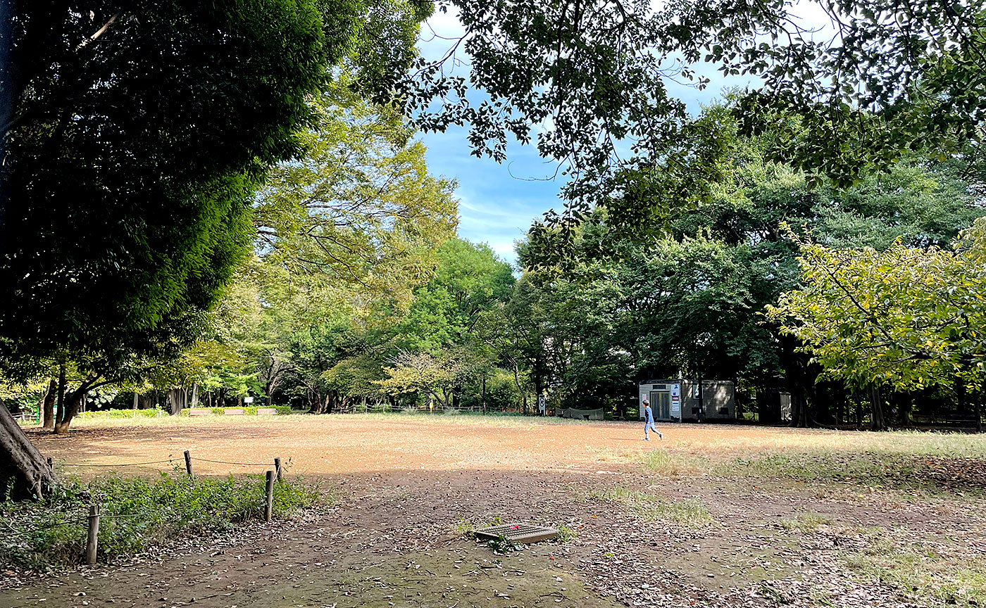 林試の森公園