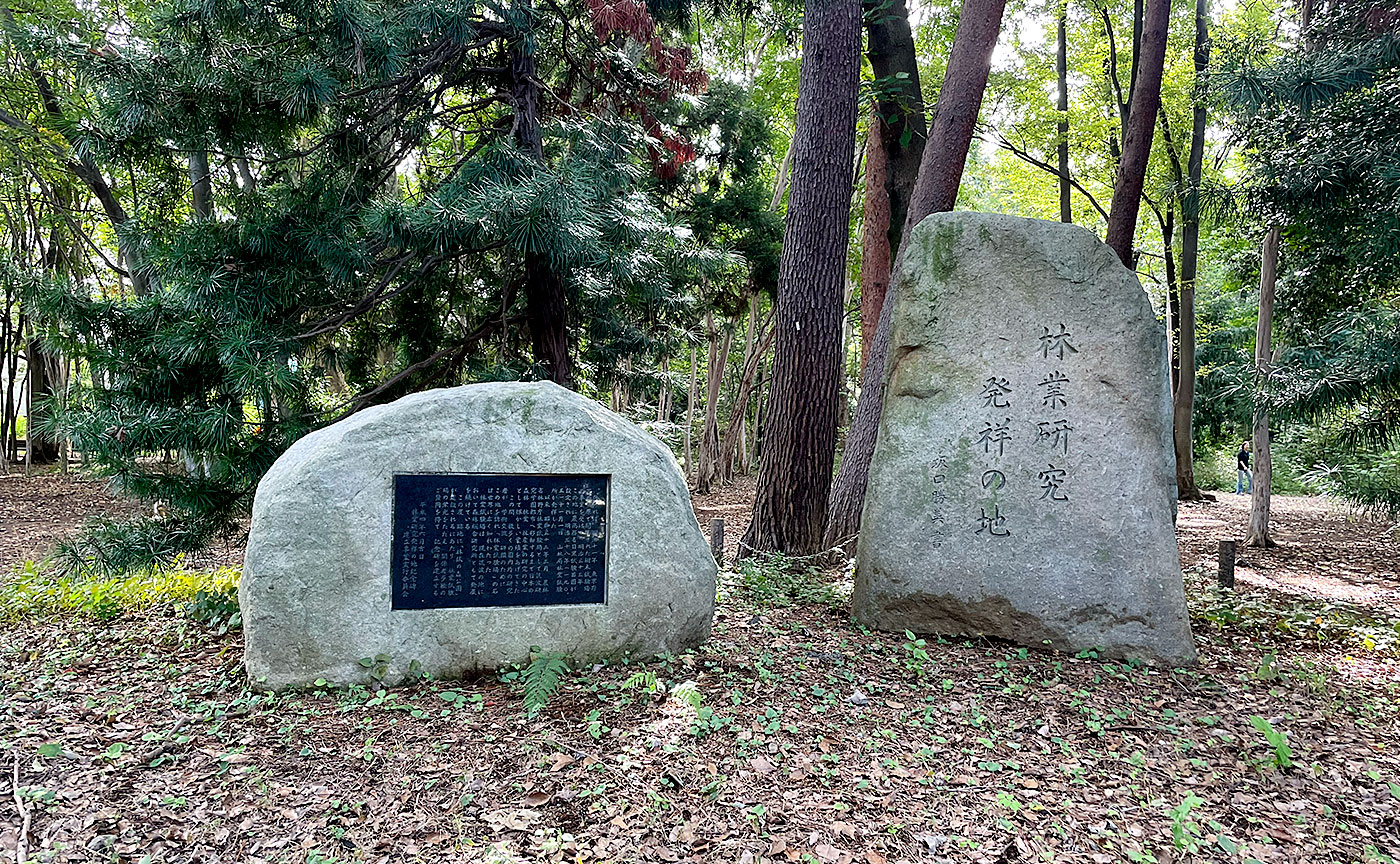 林試の森公園