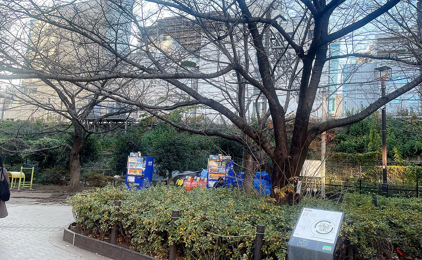 神宮通公園