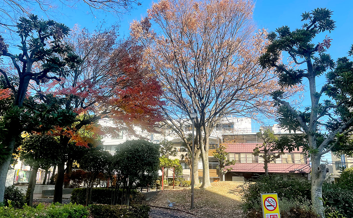 扇橋三丁目公園