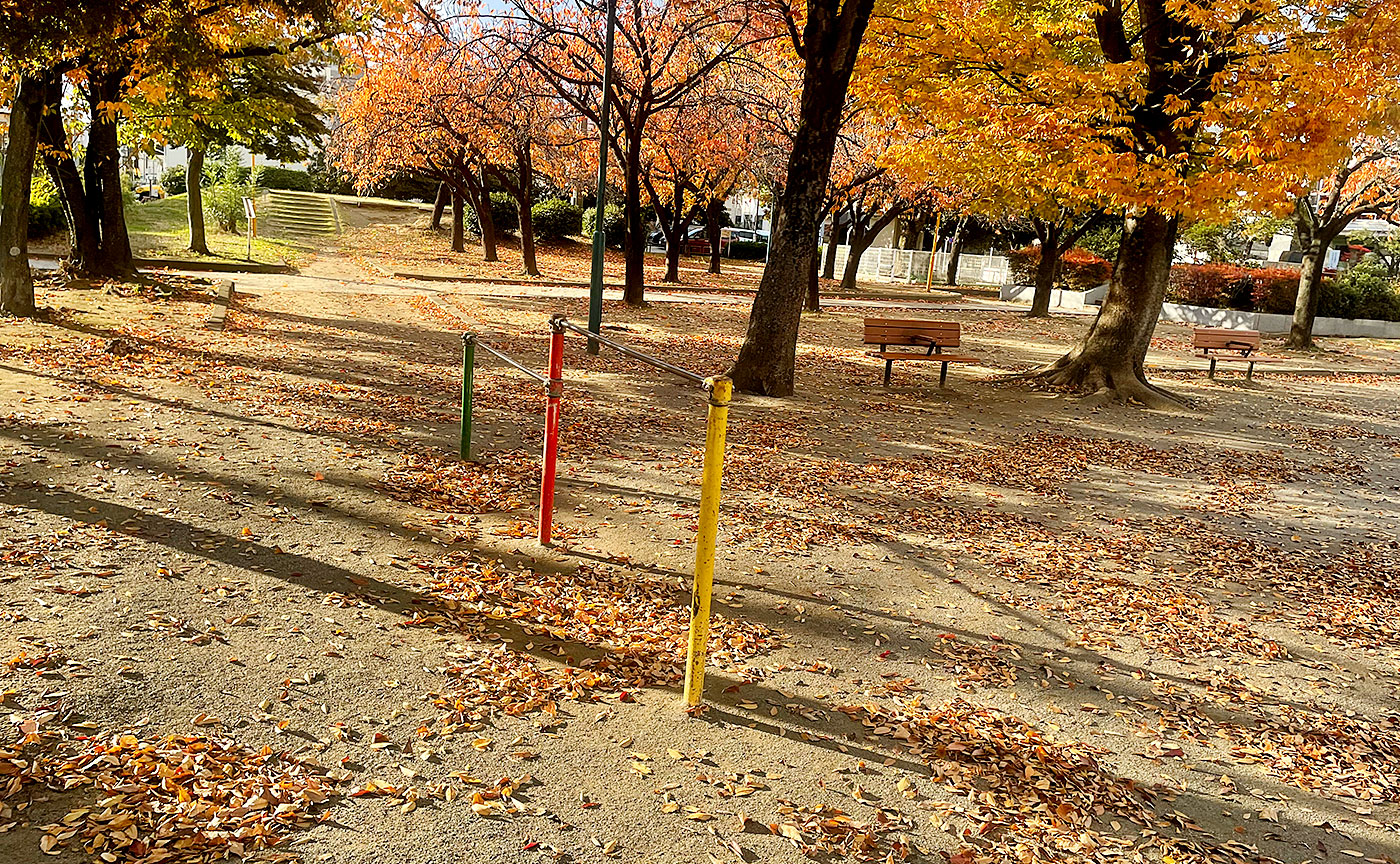 一ツ家中央公園