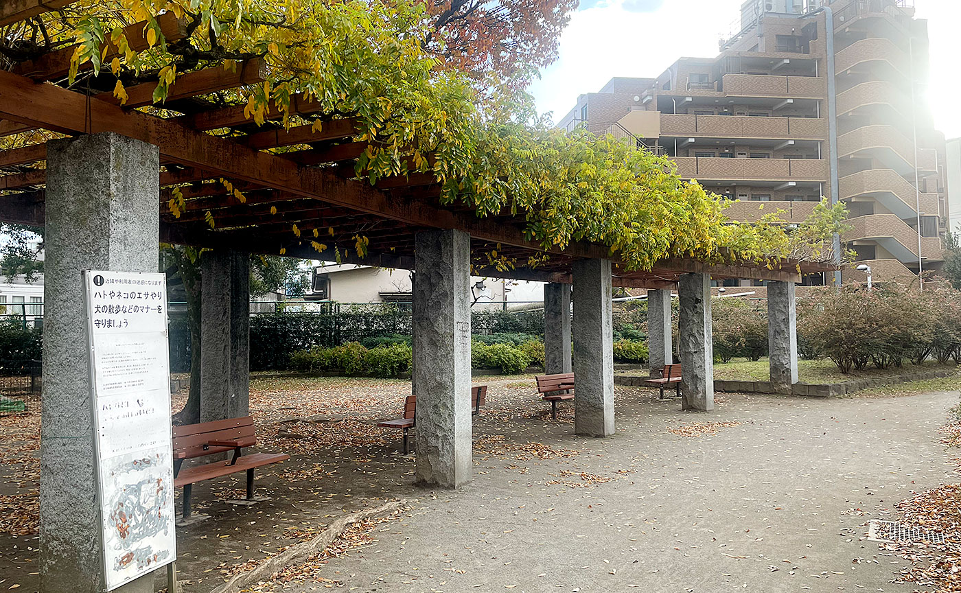 青井ふれあい公園