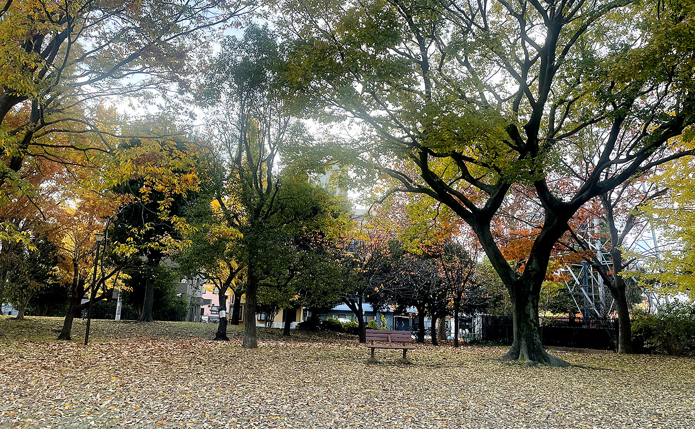 道海公園