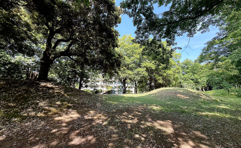 公園探訪