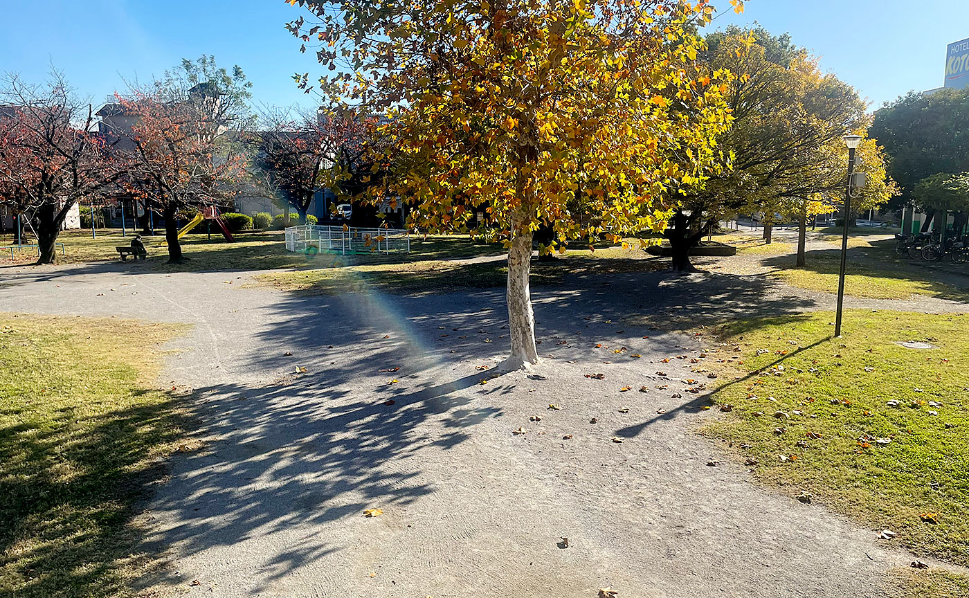 西新井みどり公園