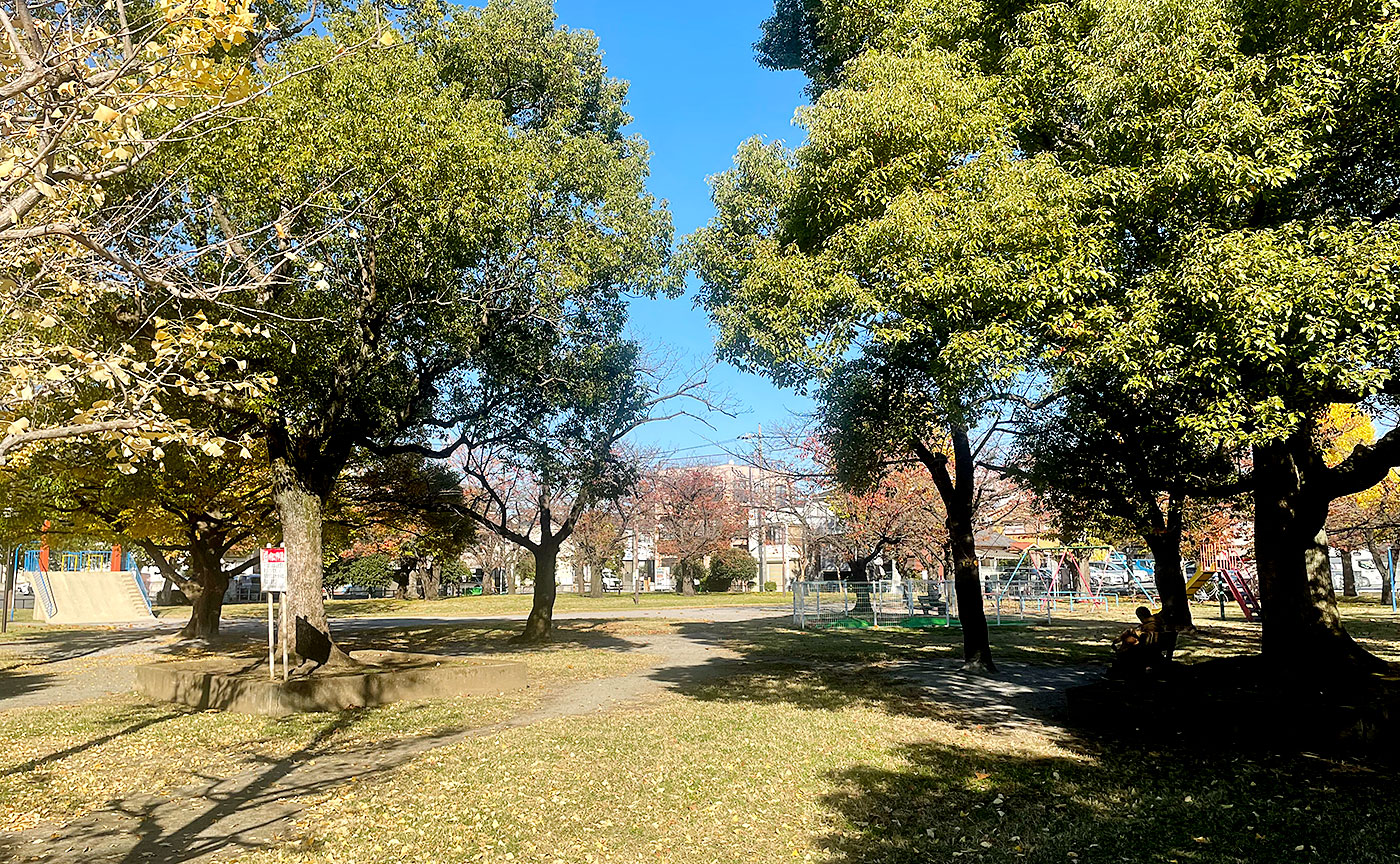 西新井みどり公園