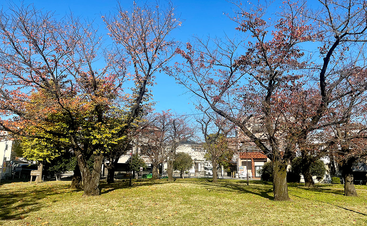 西新井みどり公園