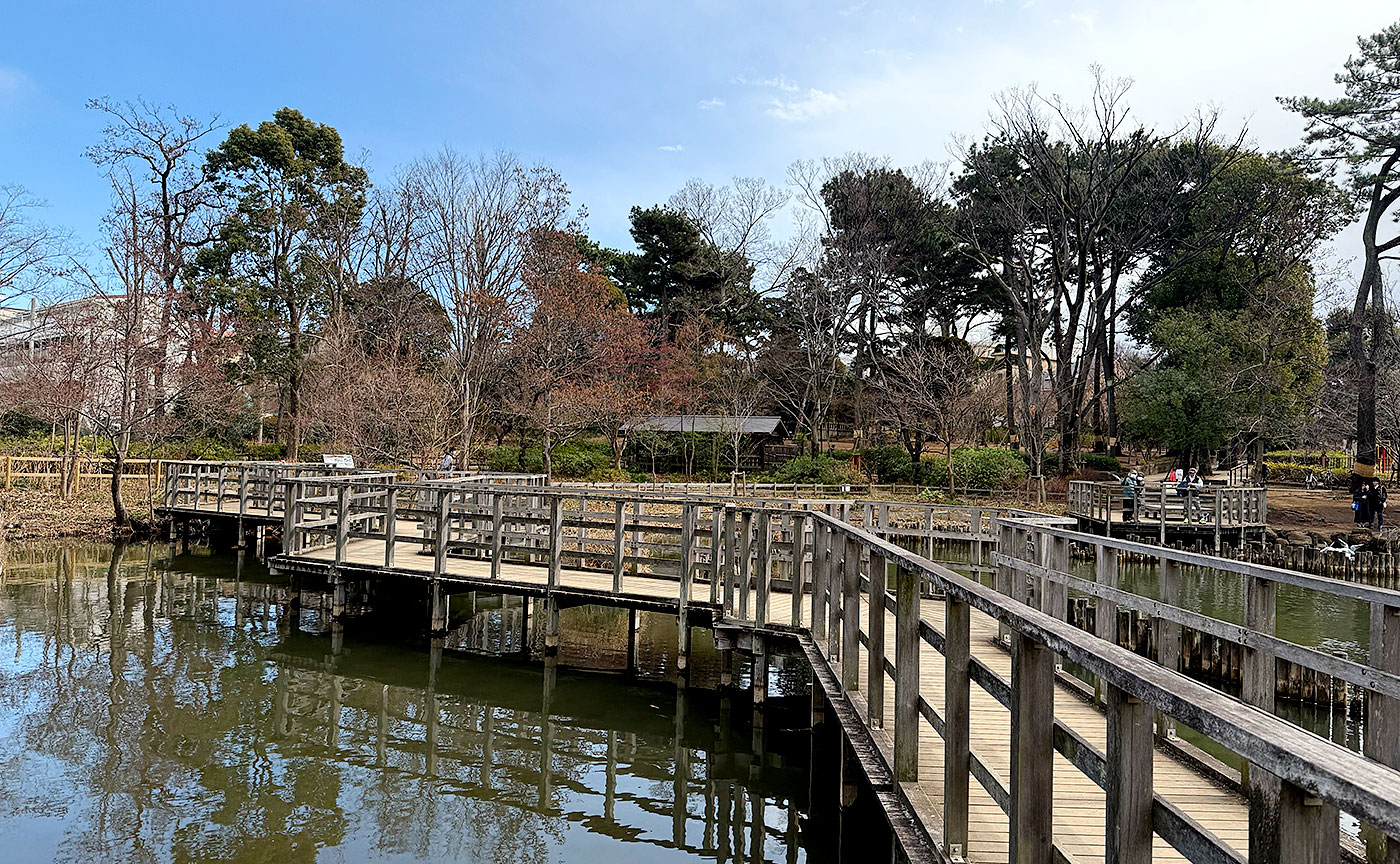 洗足池公園