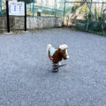 公園探訪