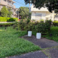 公園探訪